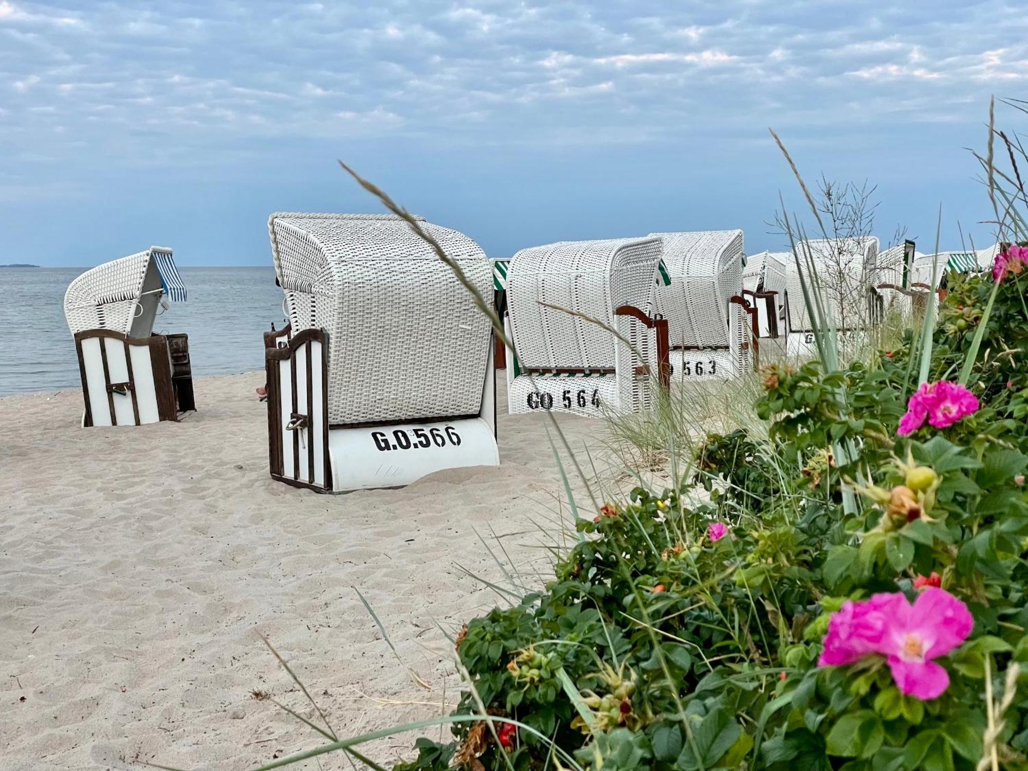 Ferienwohnung1 In Der Villa Westwind ثيسو المظهر الخارجي الصورة